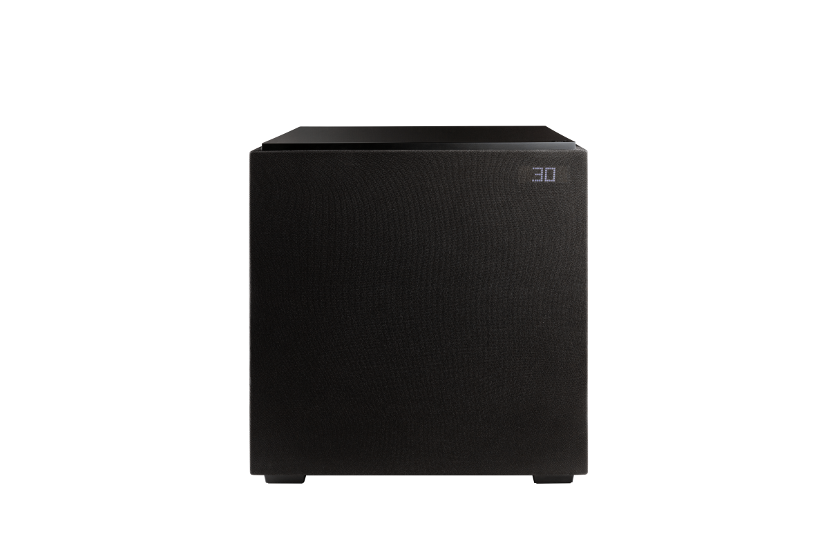 Definitive Technology Descend Series DN12 12” Subwoofer