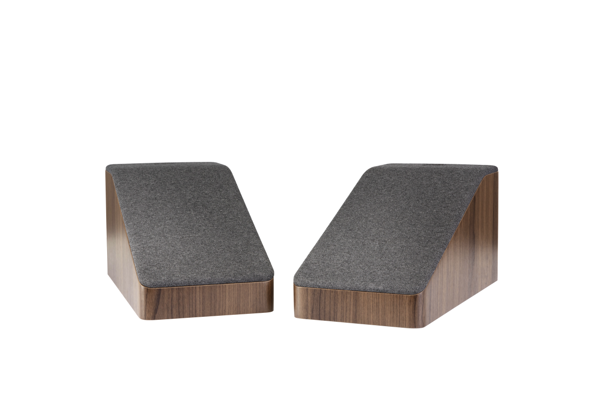 Polk Audio R900 MODULE SPEAKERS