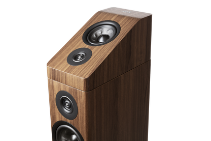 Polk Audio R900 MODULE SPEAKERS